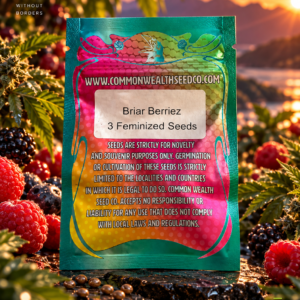 Briar Berriez
