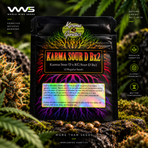 Karma Sour D BX2