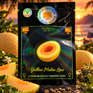 Melon Guava BX