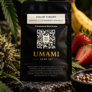 Color Theory by Umami Seed Co.